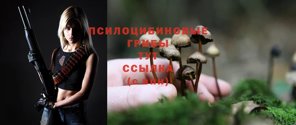 СК Абинск